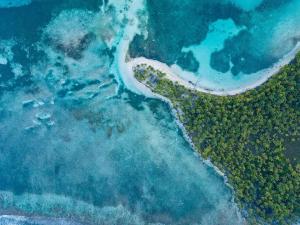 Φυσικό τοπίο κοντά σε αυτό το διαμέρισμα