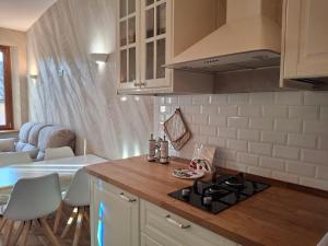 een keuken met een aanrecht en een fornuis bovenste oven bij E R Suite in Cremona