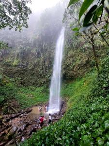 Φυσικό τοπίο κοντά σε αυτό το ξενοδοχείο