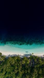 eine Luftblick auf das Meer mit Palmen in der Unterkunft Aqua Luna Dhangethi in Dhangethi