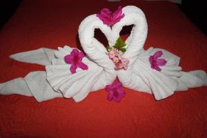 Campo Azul #3 - Monteverde في مونتيفيردي كوستاريكا: يتم صنع زوج من المناشف لتبدو مثل البجع