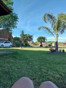 Eine Rasenfläche mit einem Baum und einem Auto im Hintergrund in der Unterkunft Refugio entre el Lago y el Mar in Mar de Cobo