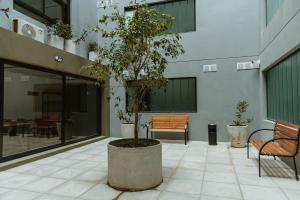 a potted tree in a courtyard with two benches at Apartamento tranquilo iluminado ideal para descansar in Montevideo