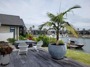 a palm tree in a large pot on a wooden deck at Hosts on the Coast Skippers Landing in Whitianga