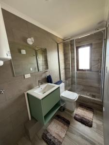 a bathroom with a sink and a toilet and a shower at Wifi, Parking, AC, Bien equipado, 5 min del centro y todo cerca in Osorno