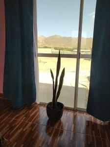 Γενική θέα στο βουνό ή θέα στο βουνό από  αυτή η παραθεριστική κατοικία +4 φωτογραφίες