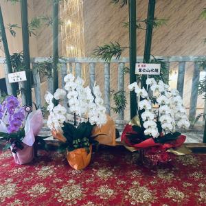 een bos witte bloemen in vazen op een tafel bij ホテル富士山水館富士山一望河口湖車で3分HotelFujisanSuikanMtFujiView3 MinutesbyCartoLakeKawaguchi in Fujikawaguchiko +39 foto's