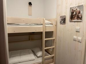 a bunk room with two bunk beds in it at Gourette : Studio cosy 4 pers, piscine, animaux acceptés - FR-1-860-58 in Gourette +3 photos