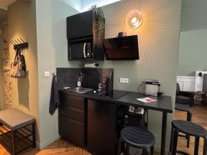 Η κουζίνα ή μικρή κουζίνα στο Studio de charme rénové en centre-ville, animaux admis - FR-1-555-123