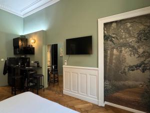 Μια τηλεόραση ή/και κέντρο ψυχαγωγίας στο Studio de charme rénové en centre-ville, animaux admis - FR-1-555-123