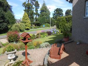 Gallery image of Rose Villa Bed and Breakfast in Forfar