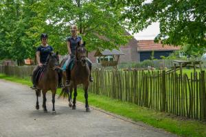 un hombre y una mujer montando caballos por una calle en De Zandkant, en Biezenmortel