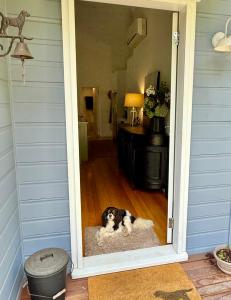 a dog laying on a rug in a doorway at Laguna Valley Country Retreat in Laguna +44 photos