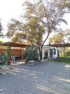 Κήπος έξω από το Casa rústica +7 φωτογραφίες