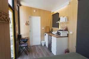 Konggu Valley Retreat Hut X By Tiny Away في T'ou-kou: مطبخ صغير مع حوض وميكروويف