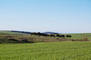 Galeriebild der Unterkunft Masseria Torre Di Nebbia in Castel del Monte