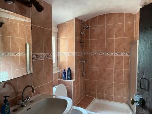 Ένα μπάνιο στο Chateau d'Albon - Chambres d'Hotes - Saint Andre d'Apchon