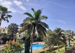 Villa Neesham Grande في بيناوليم: نخلة بجانب مسبح