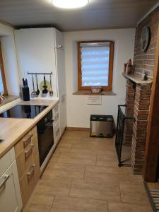 Η κουζίνα ή μικρή κουζίνα στο Ferienhaus Plech