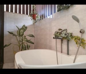 Gallery image of max villa in Melaka +12 photos