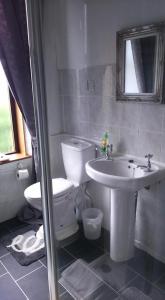a bathroom with a toilet and a sink at The Haven Cottage in Slamannan