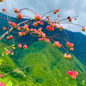 Gallery image of A Vang Homestay in Bản Phai