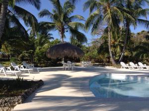 un complejo con piscina, sillas y palmeras en Sitio exclusivo y tranquilo, en San Andrés