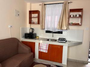 MachakosにあるPearl Studioの小さなキッチン(シンク、ソファ付)