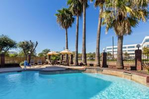 einen Pool mit Palmen in einem Resort in der Unterkunft Comfort Suites Lake Jackson Clute in Lake Jackson