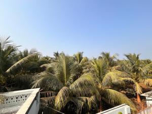 O grădină în afara 3 BHK - Coconut Farm stay - Near Somnath +16 fotografii