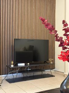 TV a/nebo společenská místnost v ubytování City Park