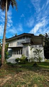 Κήπος έξω από το BamBelle Forest