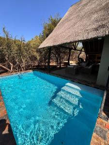 Πισίνα στο ή κοντά στο Lodana -next to Crocodile River