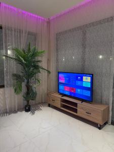 sala de estar con TV y planta en شاليه رويال دايموند, en Al-Hasa