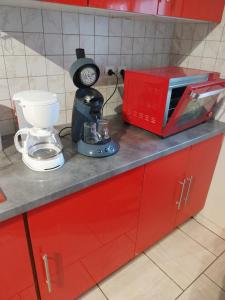a kitchen counter with a coffee maker and a microwave at Gites panoramique in Sainte-Livrade-sur-Lot +10 photos