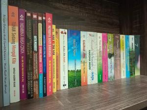 La biblioteca de la casa de vacaciones