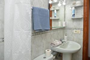 un bagno con lavandino, WC e doccia di Apt. Stella Playa a Valle Gran Rey Altre 31 foto