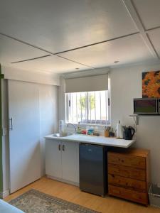 eine Küche mit Spüle und Arbeitsplatte in der Unterkunft Tiny Treasure in Klein Silwermyn