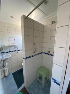 ein Badezimmer mit Dusche, Toilette und Waschbecken in der Unterkunft Tiny Treasure in Klein Silwermyn