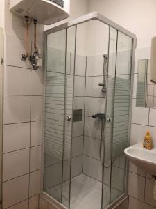 een glazen douche in een badkamer met een wastafel bij Apartments Old City Center in Wenen +34 foto's