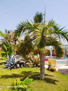 Κήπος έξω από το Chambre d'hôte les vacanciers