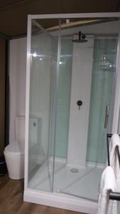a glass shower in a bathroom with a toilet at King Safari Tent 5 in Nelly Bay