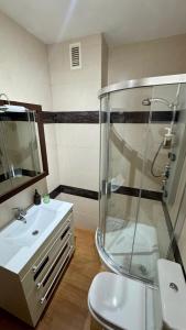 a bathroom with a shower and a toilet and a sink at Galteo Remedios in Ronda