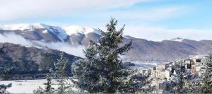 a tree in front of a city with snow covered mountains at Come a casa in Rivisondoli