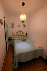 a bedroom with a large bed with a chandelier at El Retoño in El Bosque +18 photos