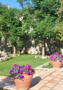 Κήπος έξω από το Gira e Firria