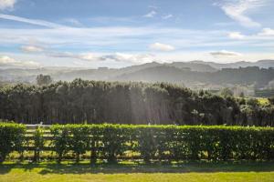 a view of a vineyard with trees and mountains at Hearty Acres Farm Cottage in Auckland