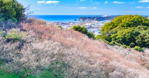 Příroda nedaleko ryokanu + 85 fotografií