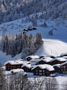 a village covered in snow with snow covered roofs at Ferienapartment Weitsicht in Biel