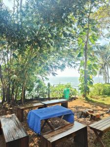 Κήπος έξω από το Perch by the sea 2